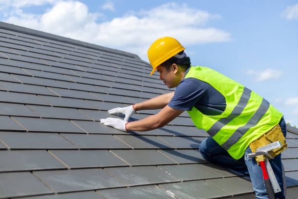 Best Roof Gutter Cleaning  in Dubuque, IA