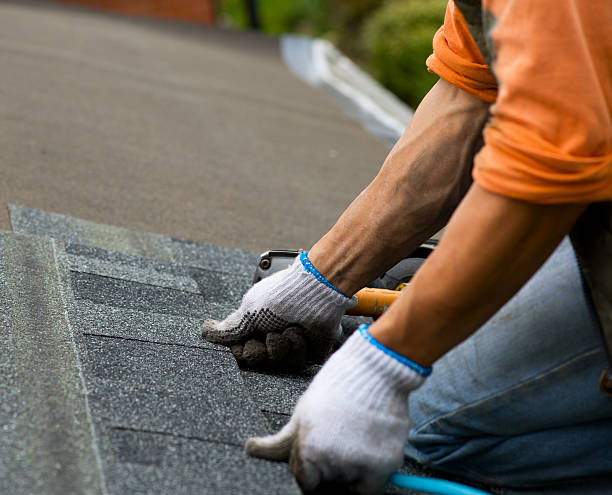 Roof Gutter Cleaning in Dubuque, IA