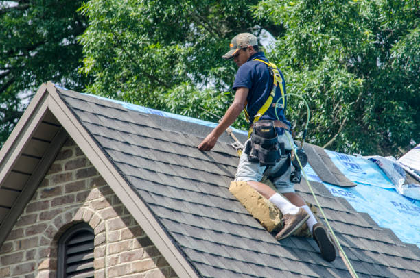 Best Commercial Roofing Services  in Dubuque, IA